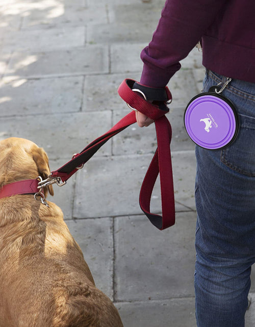 Load image into Gallery viewer, Collapsible Dog Bowls for Travel, 2-Pack Dog Portable Water Bowl for Dogs Cats Pet Foldable Feeding Watering Dish for Traveling Camping Walking with 2 Carabiners, BPA Free
